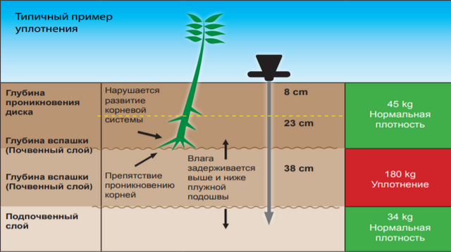 Пример уплотнения почвы и погружение плотномера в почву