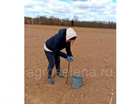 Пробоотборник почвы тростевой ППТ-25