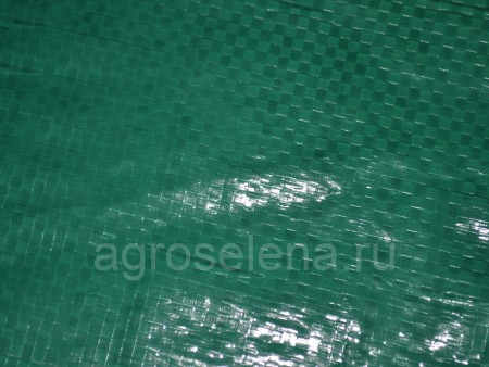 Тент укрывной с люверсами Rendell зеленый (120 г/м², усиленный край, шаг люверсов 50 см)
